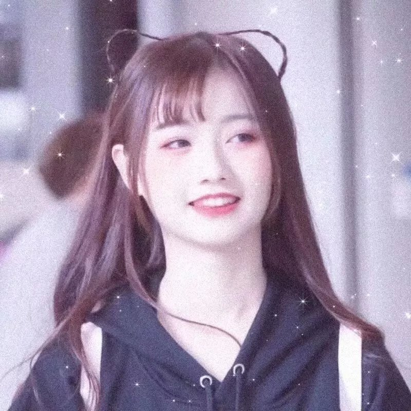 不离无爱 封面